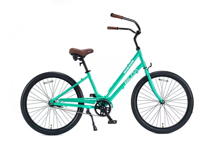 Single Speed Cruiser Rental for Downtown Charleston - Primary Image