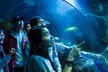 Tickets to see SEA LIFE London Standard Entry + Behind The Scene Tour - Second Medium