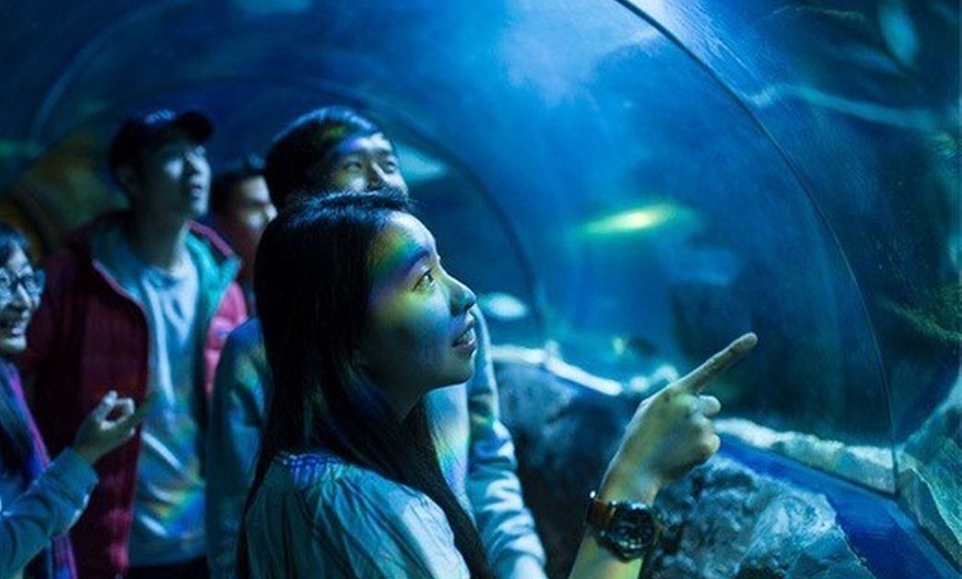 Image 2: Tickets to see SEA LIFE London Standard Entry + Behind The Scene Tour