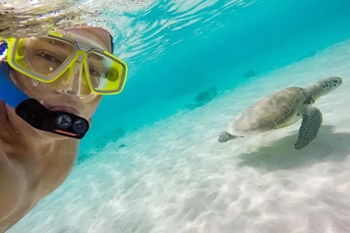 5 in 1 Deluxe Cruise: Turtle Snorkeling, Activities and Pick-Up