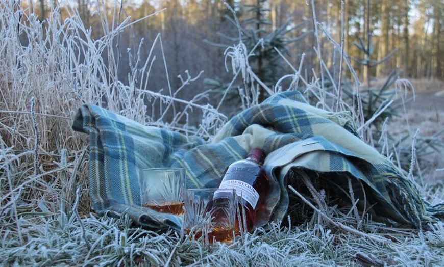 Image 31: Luxury Private Tour of The Highlands & Loch Ness from Edinburgh