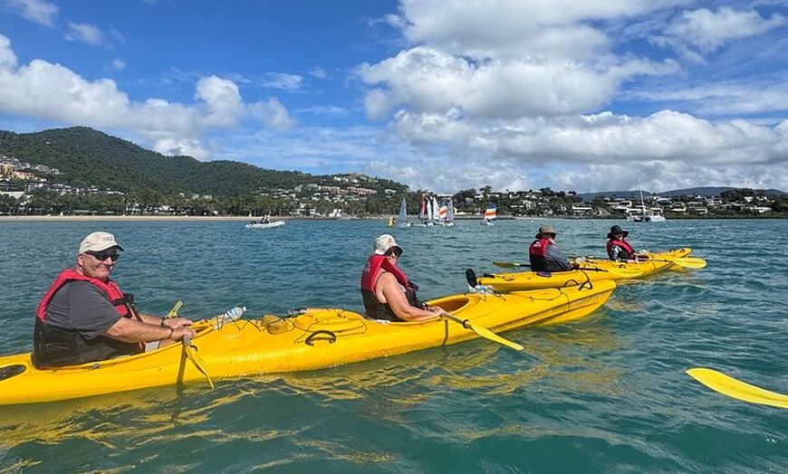 Image 4: Half Day Kayak Turtle Tour