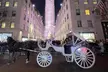 Luxury Horse and Carriage Rockefeller and Christmas lights tour - Second Medium