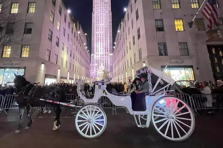 Luxury Horse and Carriage Rockefeller and Christmas lights tour