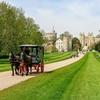 Image 3: Stonehenge and Windsor Castle Tour from London