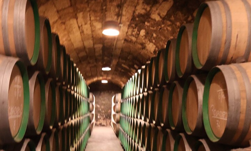 Image 8: Clase magistral de acceso y degustación exclusiva de bodegas secret...