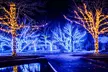 Private Enchanting Nashville Christmas Lights Tour - Second Medium