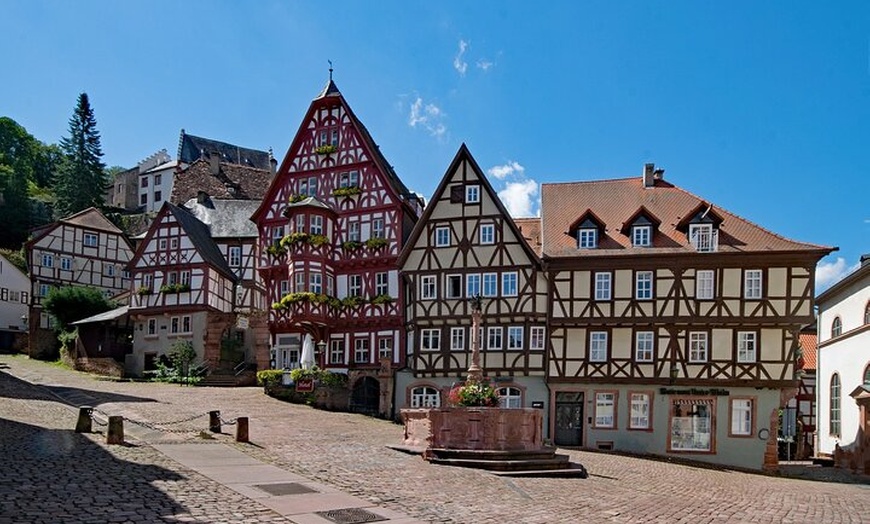 Image 3: Miltenberg - Private Wanderung