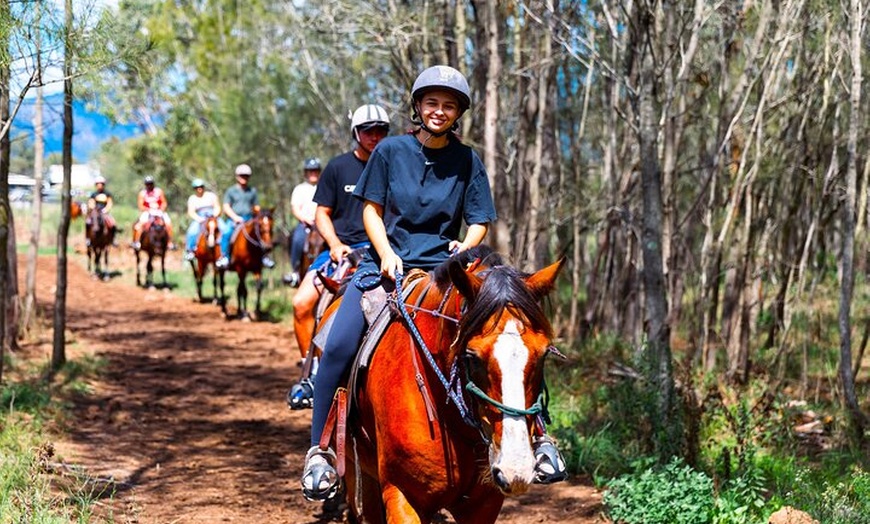 Image 8: Hunter Valley Horse Ride - 90 Minutes -Vineyard & Mountain Views