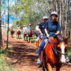 Image 8: Hunter Valley Horse Ride - 90 Minutes -Vineyard & Mountain Views