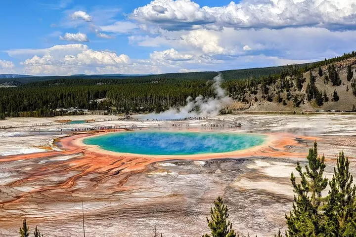 Yellowstone in a Day Private Guided Tour