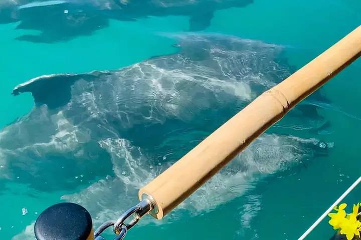 Tiki Boat - Clearwater - The Only Authentic Floating Tiki Bar