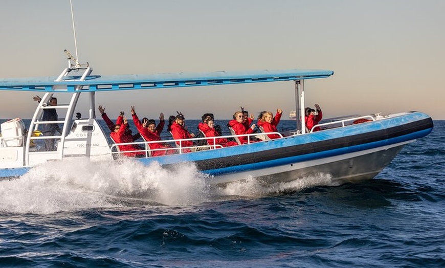 Image 25: Humpback Whale Encounter Tour from Newcastle