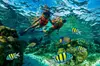 Reef Snorkeling in National Park from Cancun with Beachside Lunch