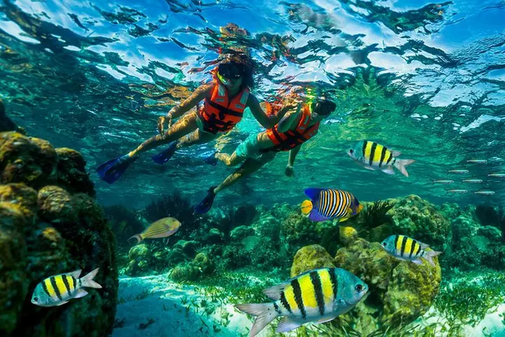 Reef Snorkeling in National Park from Cancun with Beachside Lunch - Primary Image