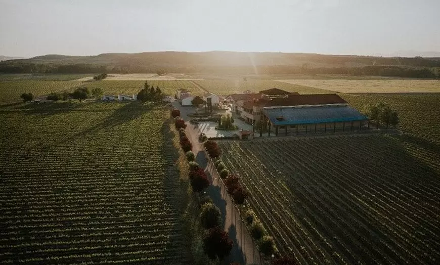 Image 3: La Rioja: Un Viaje a Través de Viñedos y Tradición