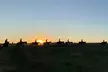 Hunter Valley Sunset Horse Ride - 90 Minutes - Image 6