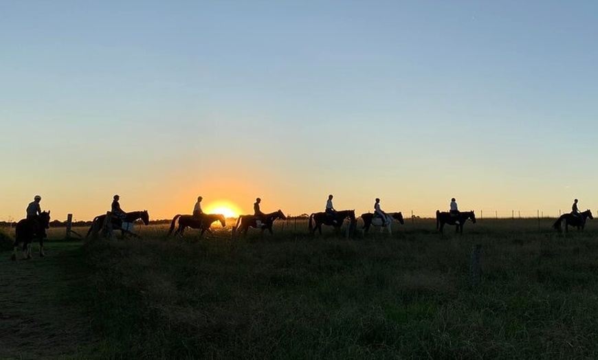 Image 6: Hunter Valley Sunset Horse Ride - 90 Minutes