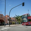 Image 1: Tour en autobús turístico por Santa Cruz de Tenerife
