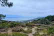 La Jolla Electric Bike Tour - Second Medium