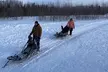 2-Hour Basic Dog Mushing School (without transportation) - Second Medium