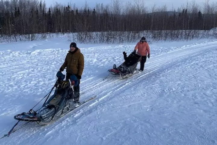 2-Hour Basic Dog Mushing School (without transportation)