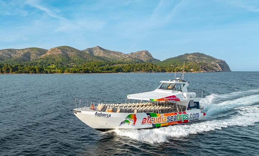 Image 4: Dolphin Adventure : Avistamiento de Delfines en Barco Rápido en Mal...