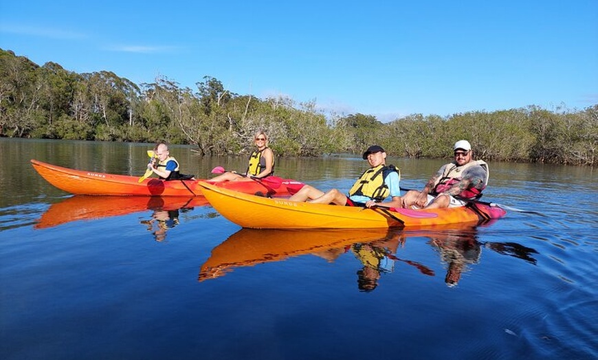 Image 4: Sunset Kayak Eco Tour with Marine Scientist