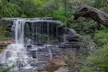 Explore The Blue Mountains with your local guide - Full Day Tour - Image 5