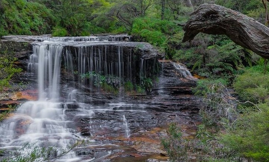 Image 5: Explore The Blue Mountains with your local guide - Full Day Tour