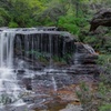 Image 5: Explore The Blue Mountains with your local guide - Full Day Tour