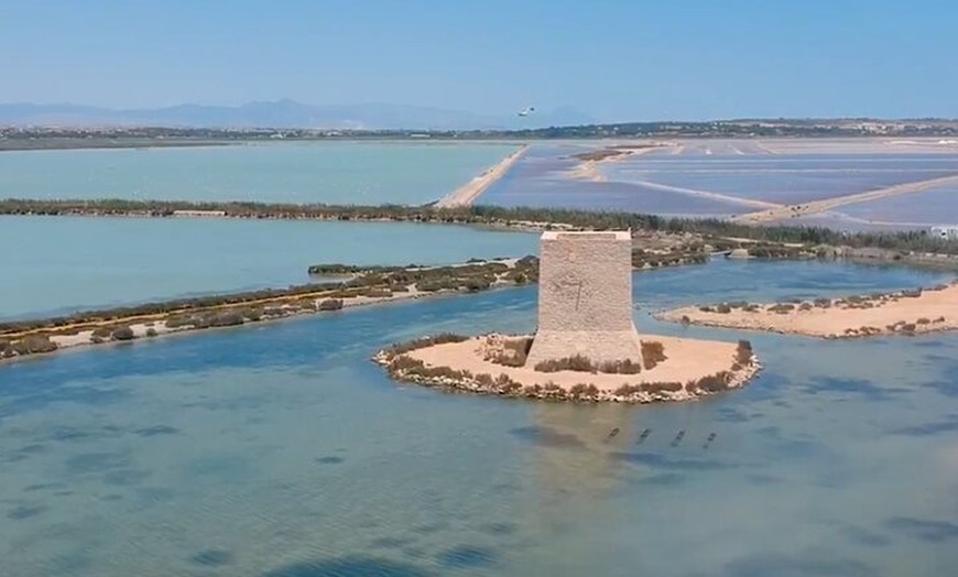 Image 6: Isla Tabarca y Santa Pola Salinas desde Alicante o Benidorm
