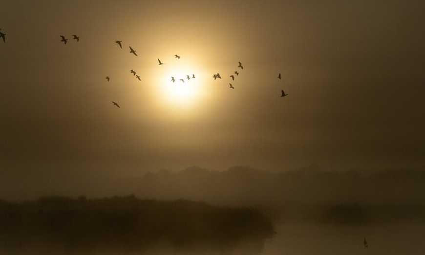Image 5: Bird watching and photography around Bathurst, Australia