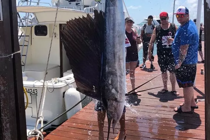 Private fishing charter Bertram 31ft 6 pax max if you don't fish yo...