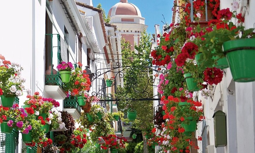 Image 3: City Bike Guided Tour : Descubre Estepona Secretos mejor guardados