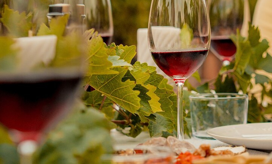 Image 9: Ibiza : Cata privada de vinos y aceites de oliva y Tapas y transporte