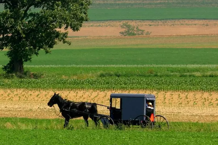 Nueva York a Filadelfia y Los Amish en Castellano