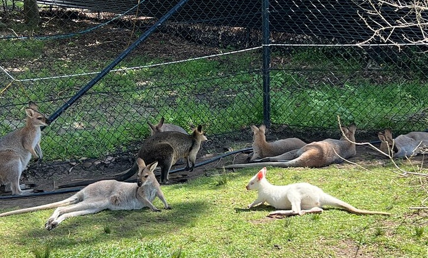 Image 13: South Coast Private Daily Group Tour - Pick up & Drop off