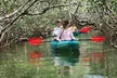 Kayak through Mangrove Forests in the Florida Keys - Second Medium