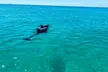 2 Hours Shell Island Jet Ski Tour - Second Medium