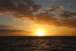 Kona-Kohala Coast Sunset Sail by Catamaran - Second Medium