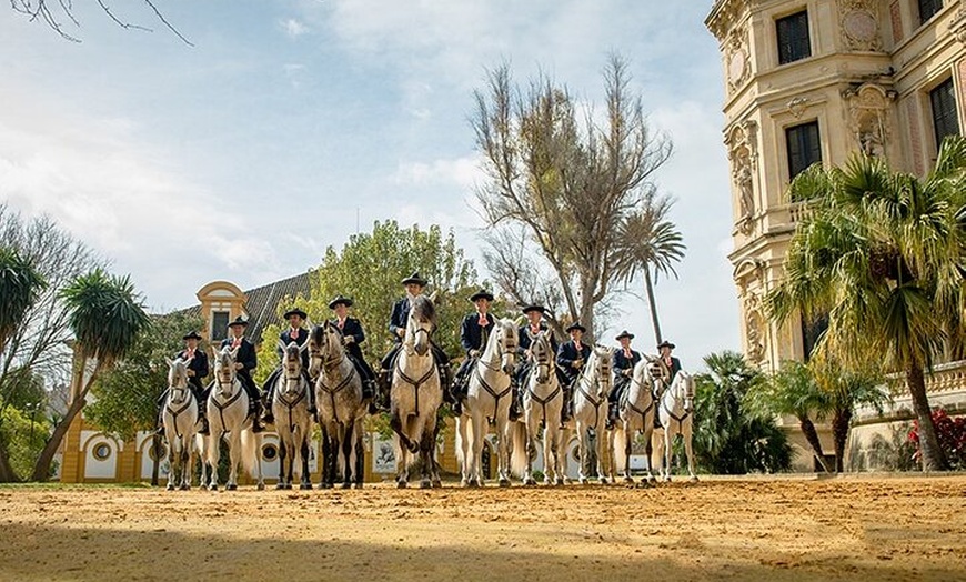 Image 4: Jerez Caballos y Bodegas Tío Pepe desde Estepona y Marbella