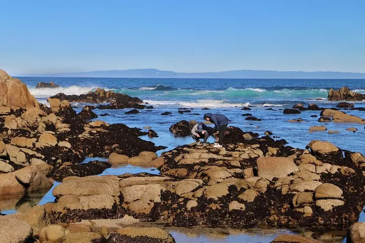 Monterey, Pebble Beach and Carmel Tour With Optional Aquarium