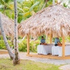 Image 23: ✈ REPUBBLICA DOMINICANA | Samana - Wyndham Alltra Samana All Inclus...