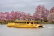 City Cruises DC: Water Taxi One Day Pass - Image 5