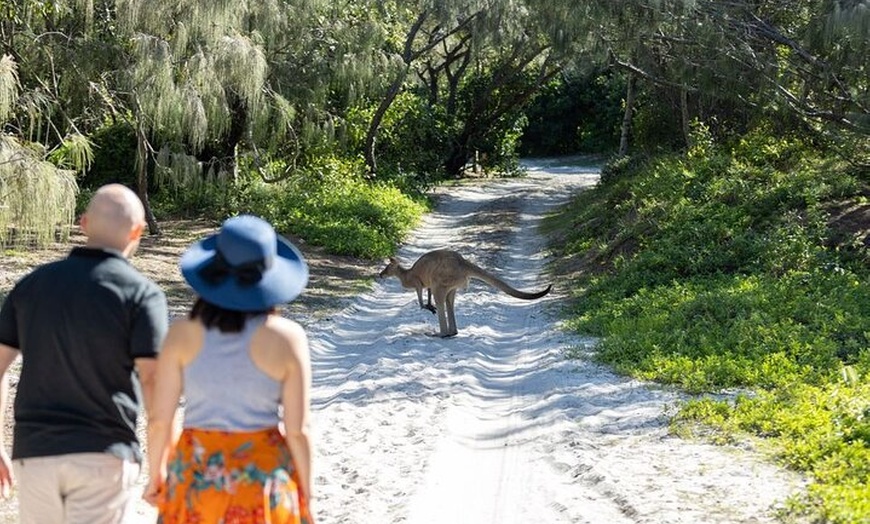 Image 10: Brisbane day trip to Bribie Island