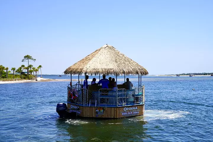 Dolphin Sightseeing Tiki Boat Tour 90 minutes - Primary Image