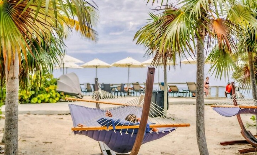 Image 21: Bahamas Rose Island Ultimate Beach Oasis Escape