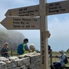 Image 9: Discover Purbeck Stone & landscape: stone carving, walks, writing