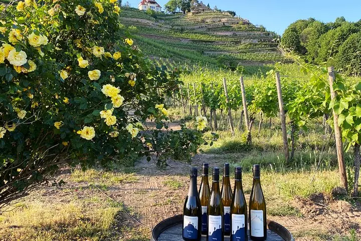 Weinprobe auf dem Weingut 3 Weine 100% Genuss - Primary Image